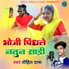 About Bhauji Pindhale Natun Saari Song